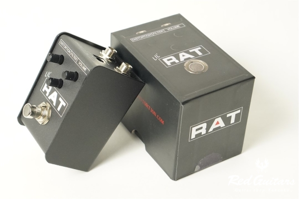 LIL’ RAT